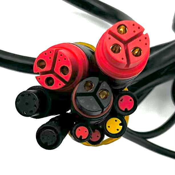 Controller Super Mammoth Dual Motor VM