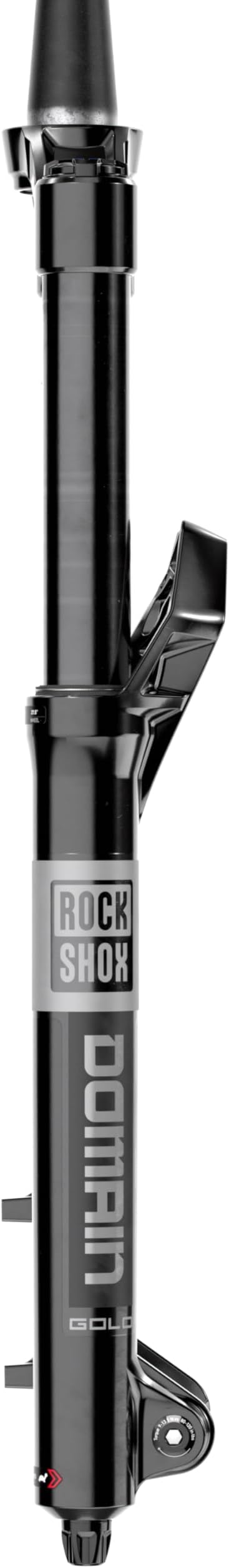 RockShox Domain 170 Suspension Fork 29''